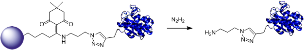 Dde Agarose-Azide structure