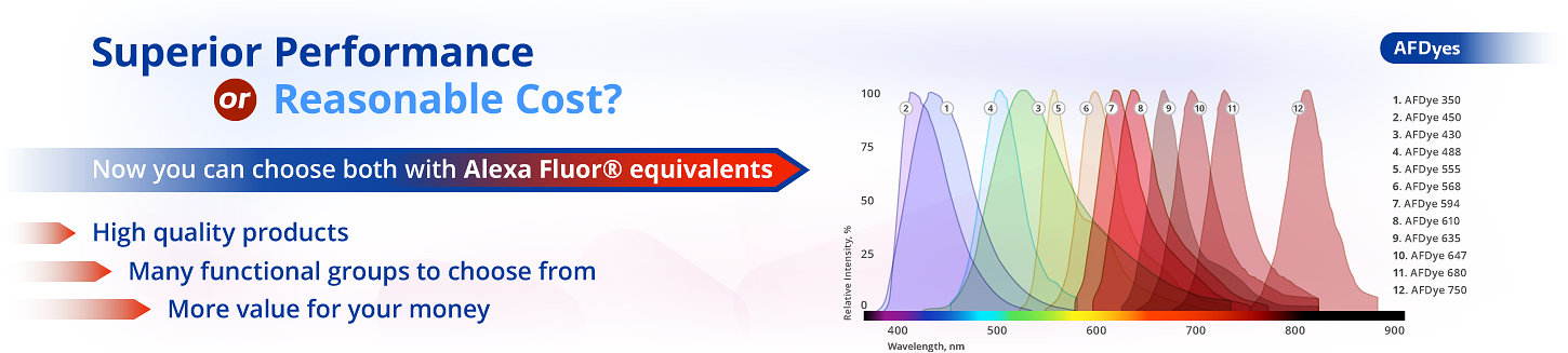 Fluorescent probes