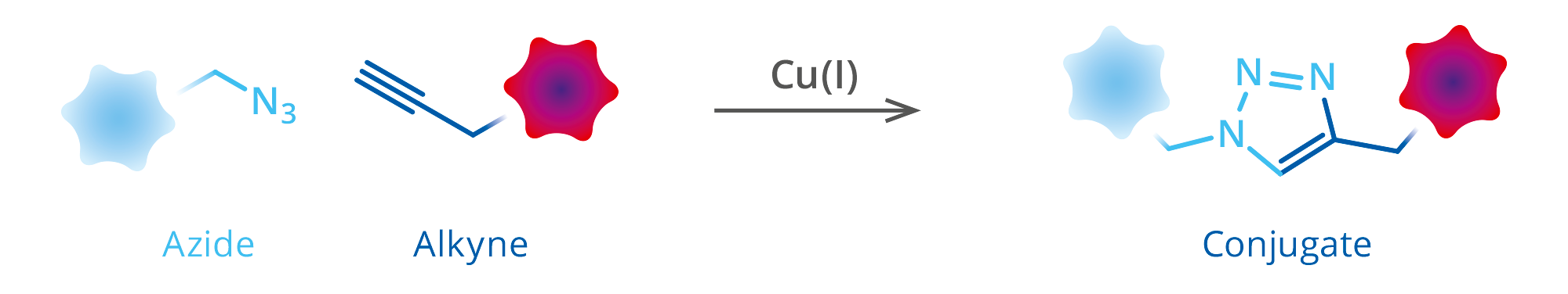 1262-scheme image