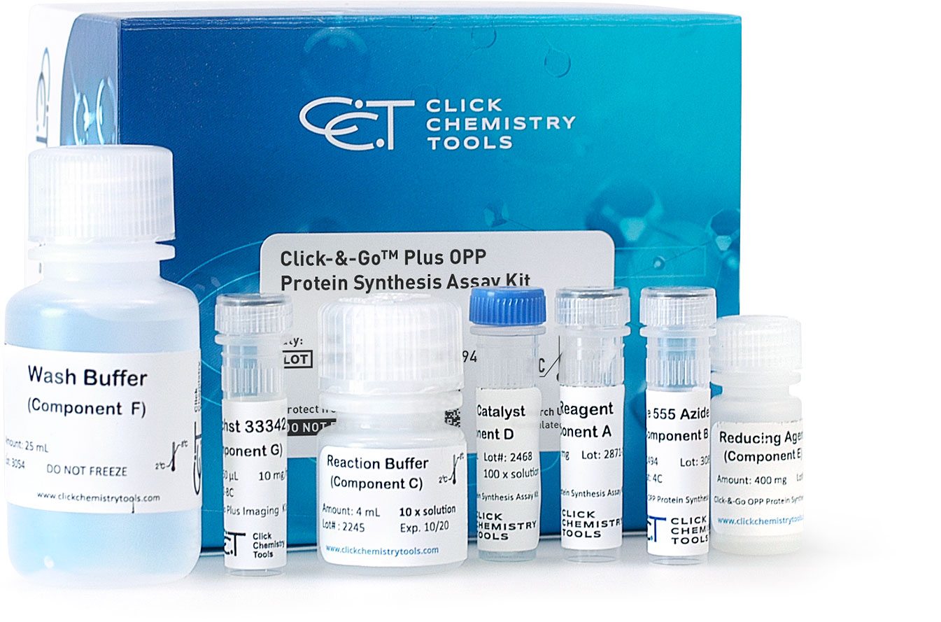 Click-&-Go Plus OPP Protein Synthesis Assay Kits