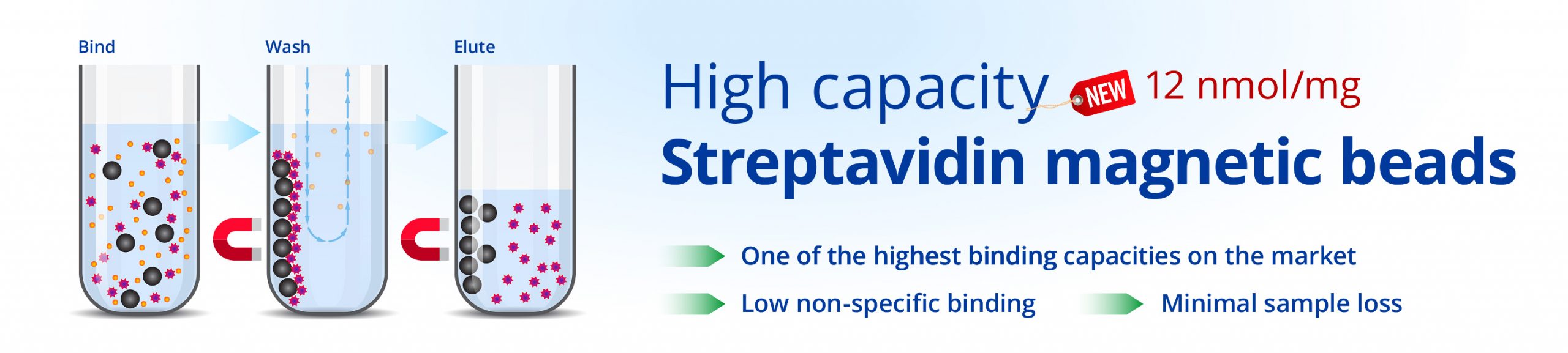 High capacity Streptavidin Magnetic Beads